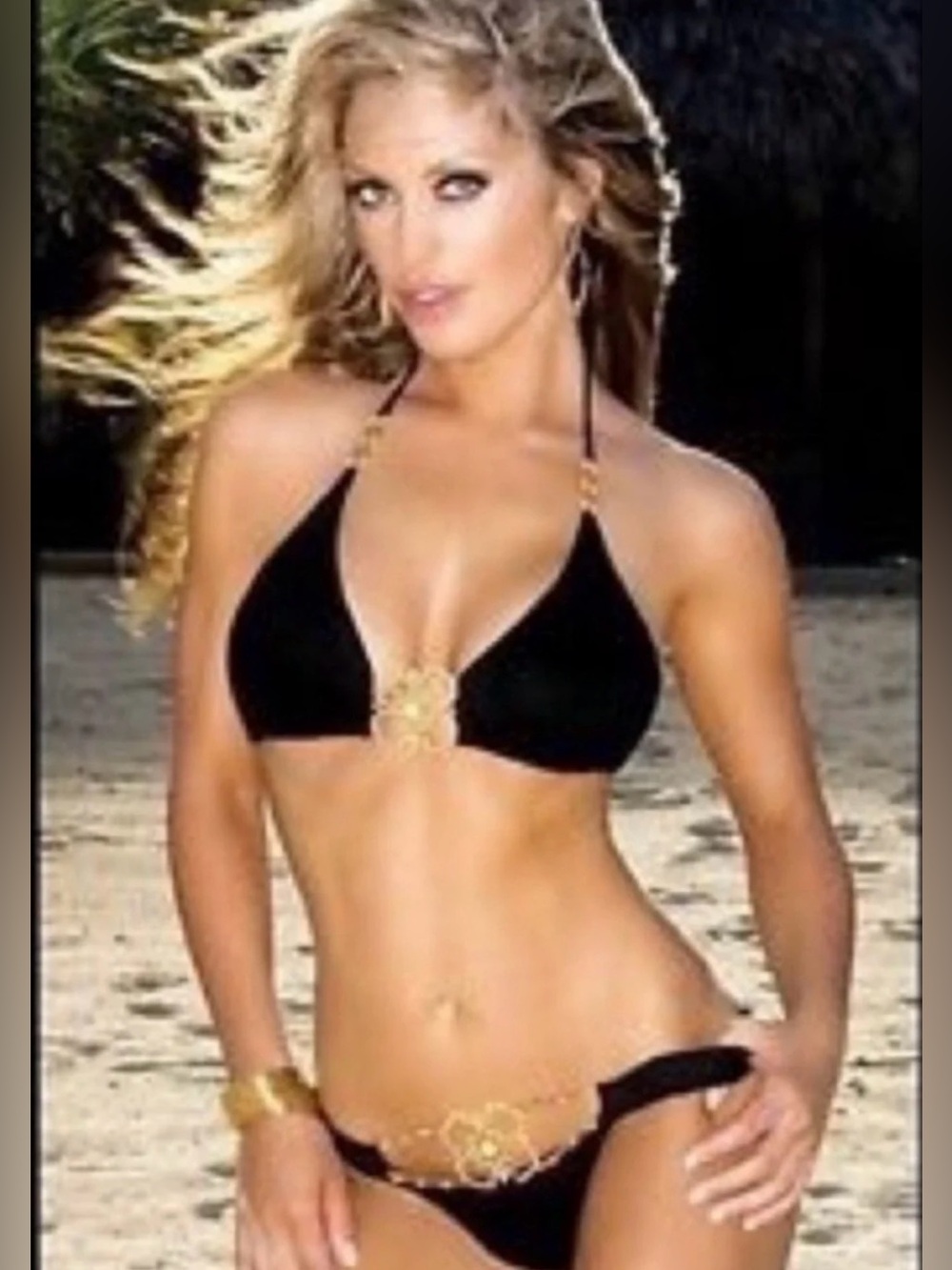 NWOT never worn Black Women's Triangle Bikini Top with Gold Accents size L